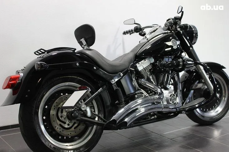 Harley-Davidson FLSTF Image 2